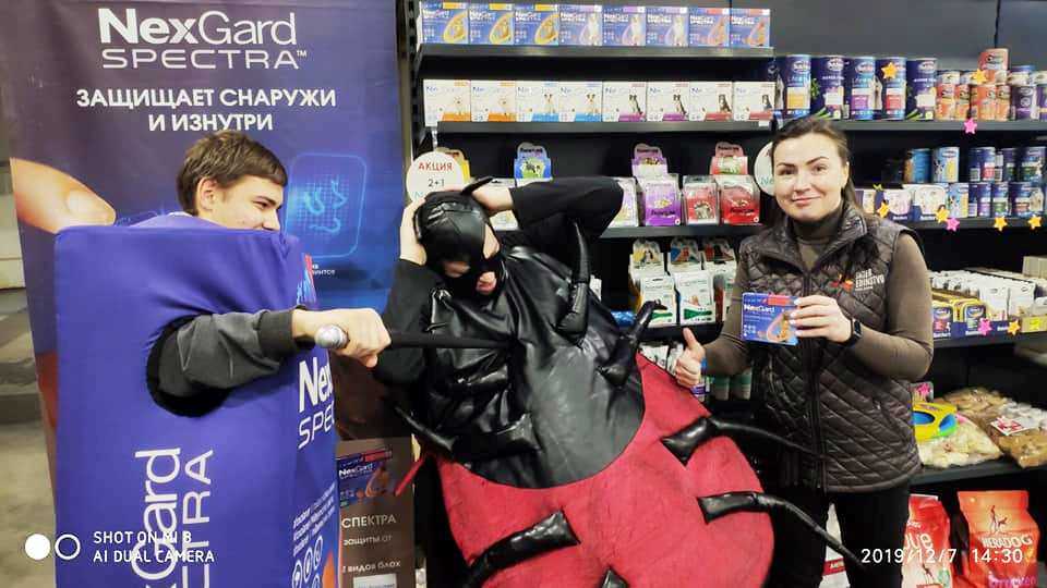 выставки собак всех пород