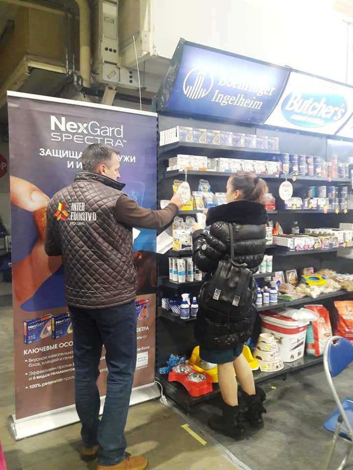 выставки собак всех пород